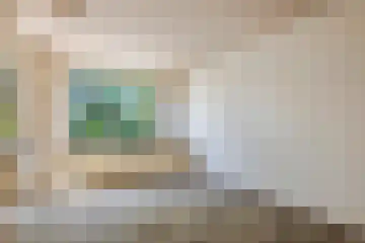 Ganzebloem 2 Culemborg thumbnail 14