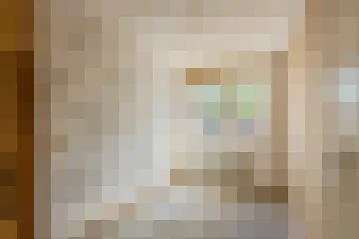 Ganzebloem 2 Culemborg thumbnail 15