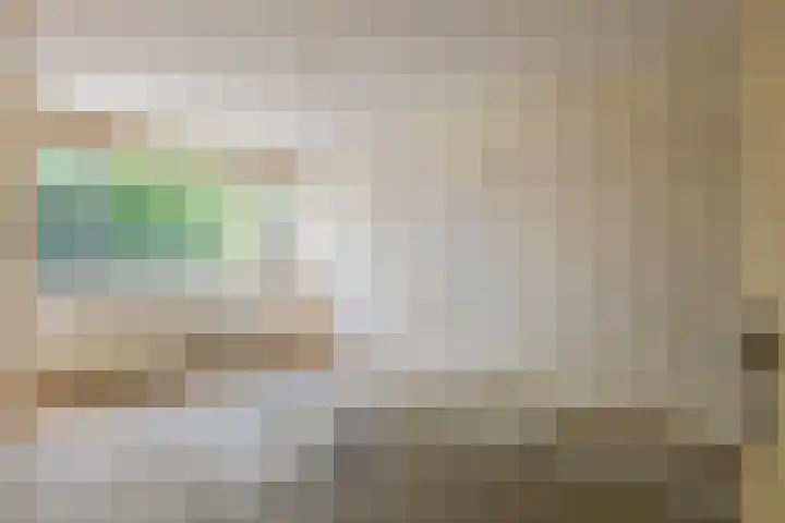 Ganzebloem 2 Culemborg thumbnail 16