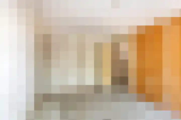Ganzebloem 2 Culemborg thumbnail 17