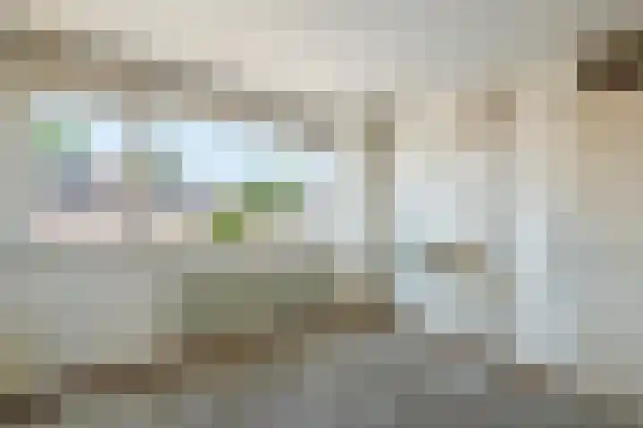 Ganzebloem 2 Culemborg thumbnail 19