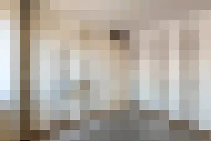 Ganzebloem 2 Culemborg thumbnail 20
