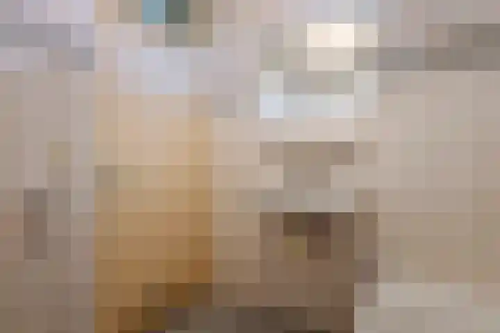 Ganzebloem 2 Culemborg thumbnail 23