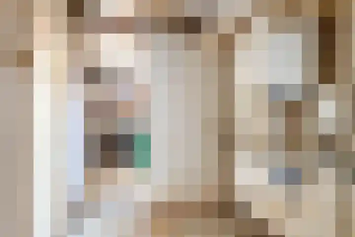 Ganzebloem 2 Culemborg thumbnail 24