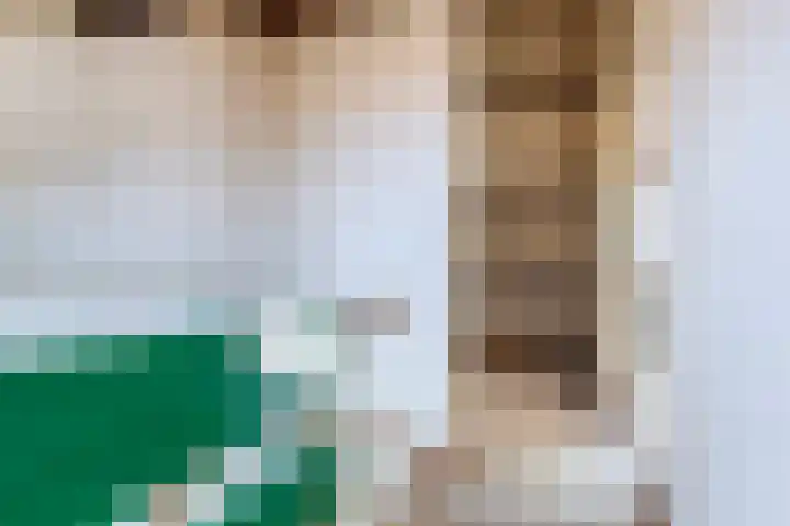 Ganzebloem 2 Culemborg thumbnail 25