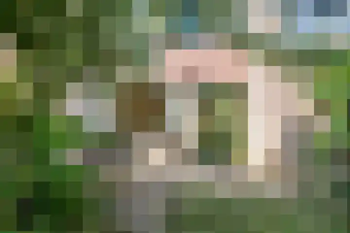 Ganzebloem 2 Culemborg thumbnail 28
