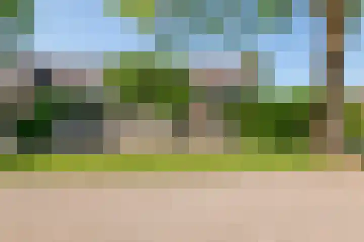 Ganzebloem 2 Culemborg thumbnail 29