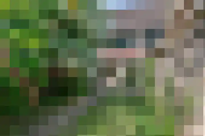 Ganzebloem 2 Culemborg thumbnail 32