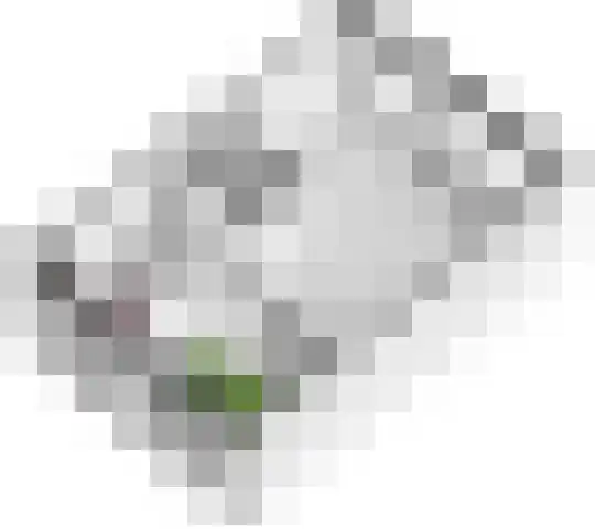 Ganzebloem 2 Culemborg thumbnail 34