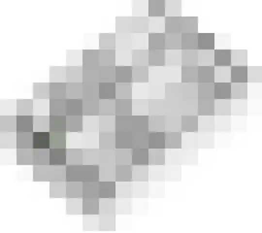Ganzebloem 2 Culemborg thumbnail 36