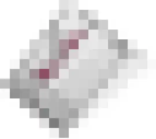 Ganzebloem 2 Culemborg thumbnail 38