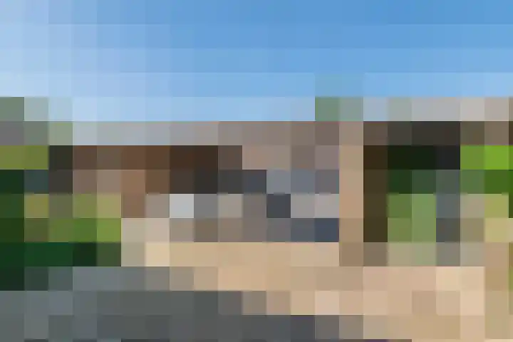 Ganzebloem 2 Culemborg thumbnail 4