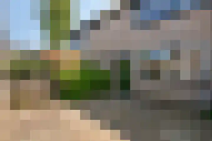 Ganzebloem 2 Culemborg thumbnail 41