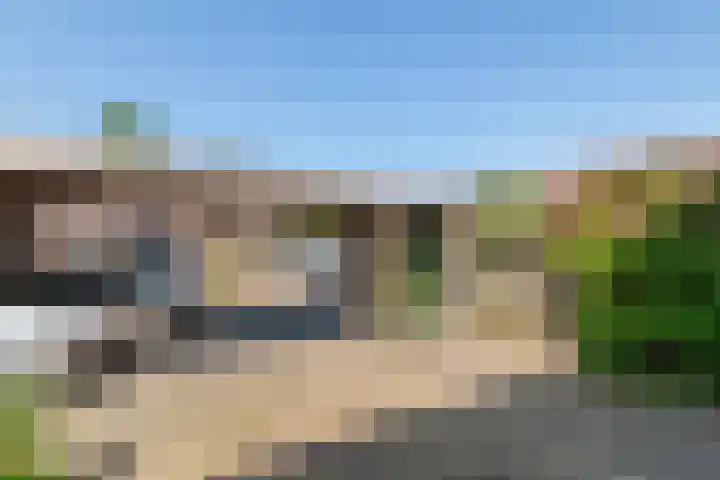 Ganzebloem 2 Culemborg thumbnail 5
