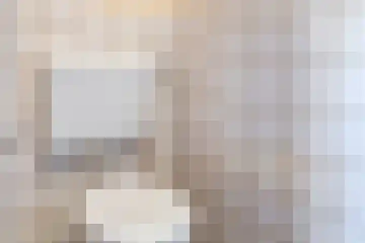 Ganzebloem 2 Culemborg thumbnail 8