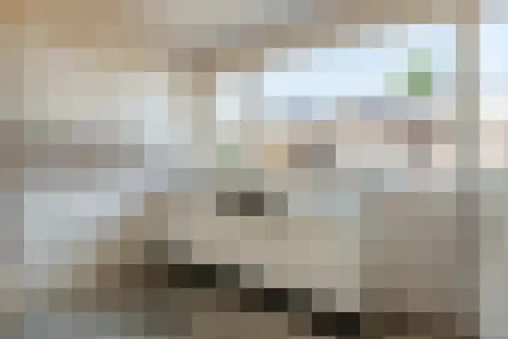 Ganzebloem 2 Culemborg thumbnail 9