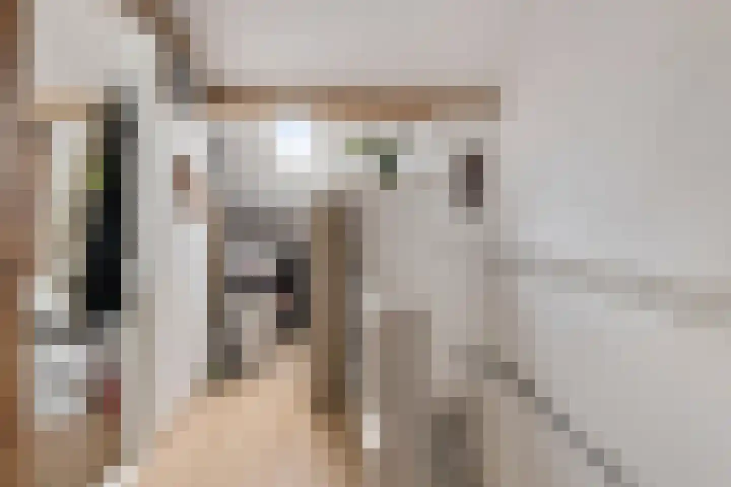 Ganzebloem 21 Culemborg thumbnail 24