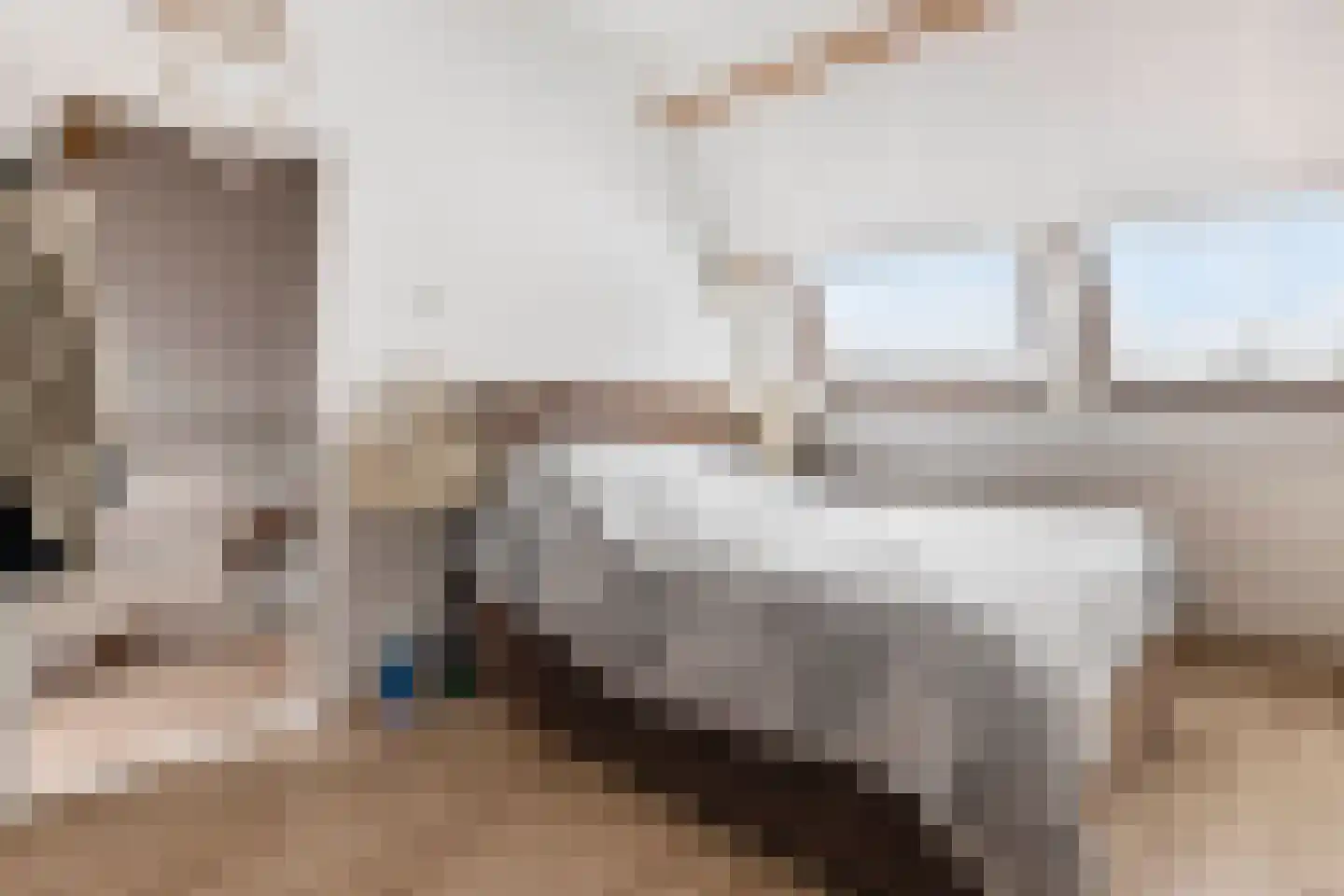 Ganzebloem 21 Culemborg thumbnail 28