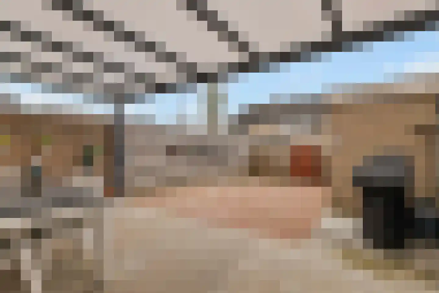 Ganzebloem 21 Culemborg thumbnail 30