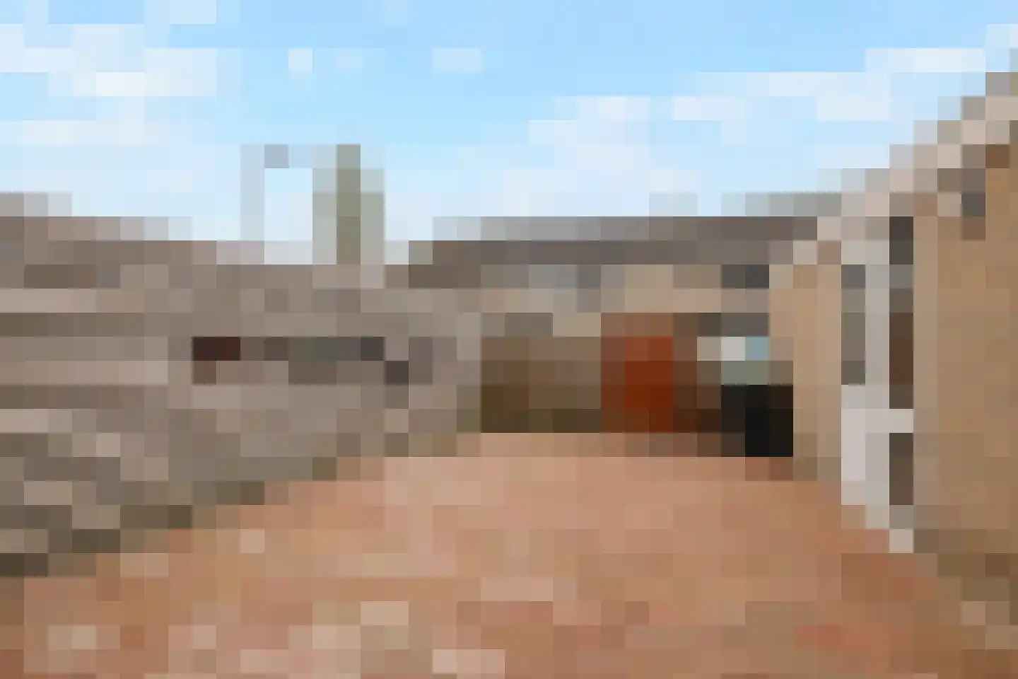 Ganzebloem 21 Culemborg thumbnail 32
