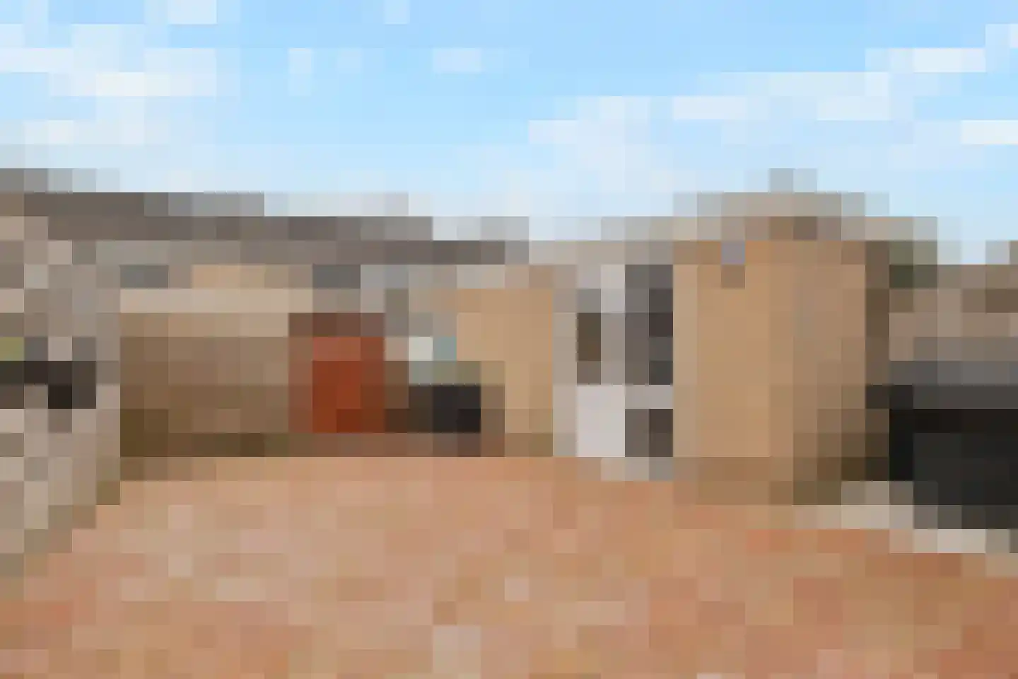 Ganzebloem 21 Culemborg thumbnail 33