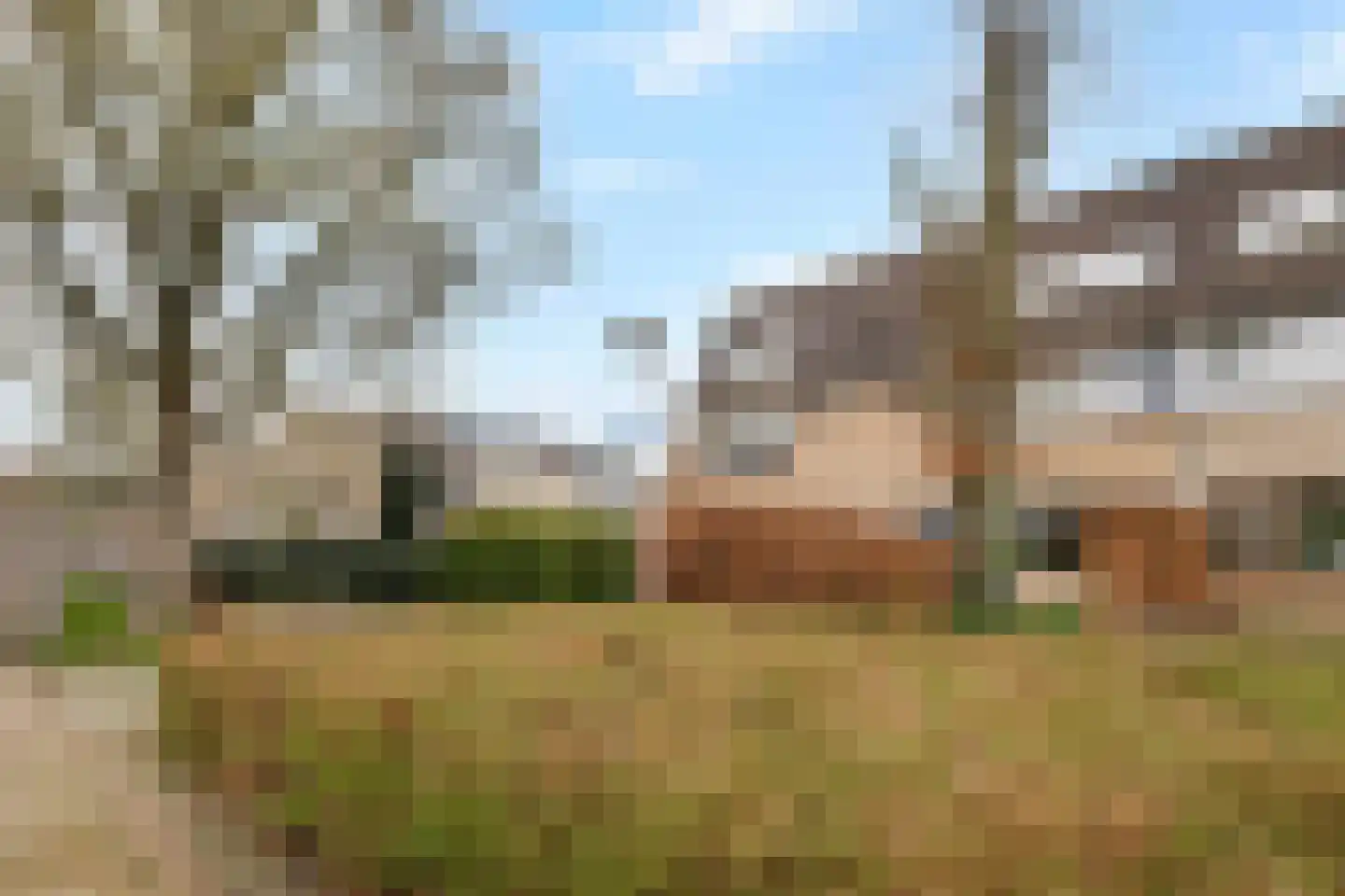 Ganzebloem 21 Culemborg thumbnail 41