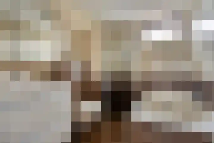 Ganzebloem 21 Hardenberg thumbnail 16