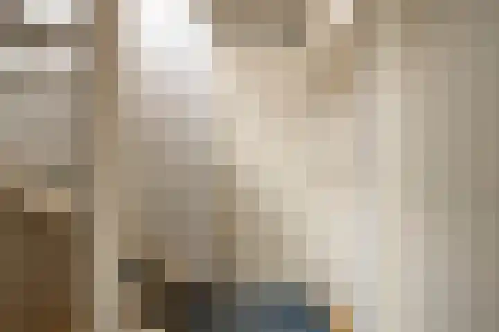 Ganzebloem 21 Hardenberg thumbnail 20