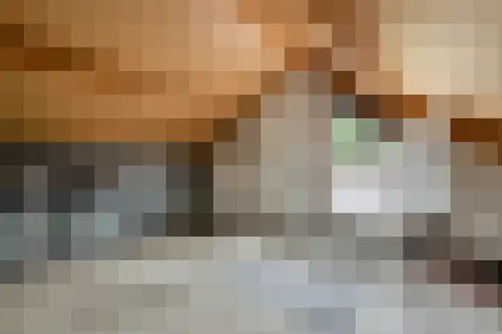 Ganzebloem 21 Hardenberg thumbnail 21