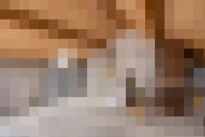 Ganzebloem 21 Hardenberg thumbnail 22
