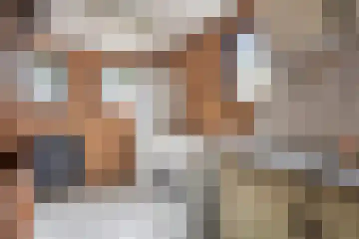 Ganzebloem 21 Hardenberg thumbnail 23