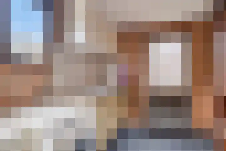 Ganzebloem 21 Hardenberg thumbnail 24