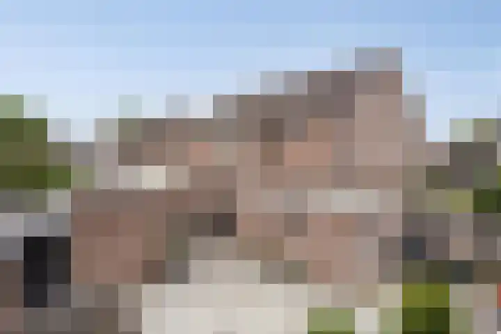 Ganzebloem 21 Hardenberg thumbnail 25