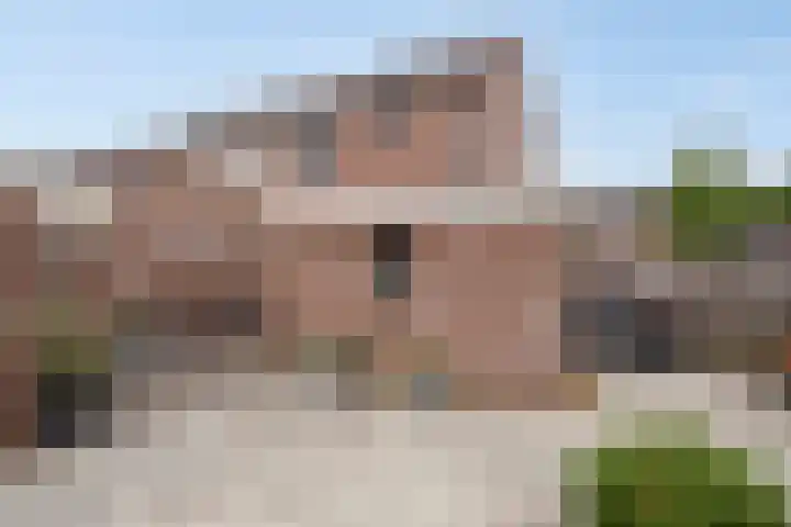 Ganzebloem 21 Hardenberg thumbnail 26