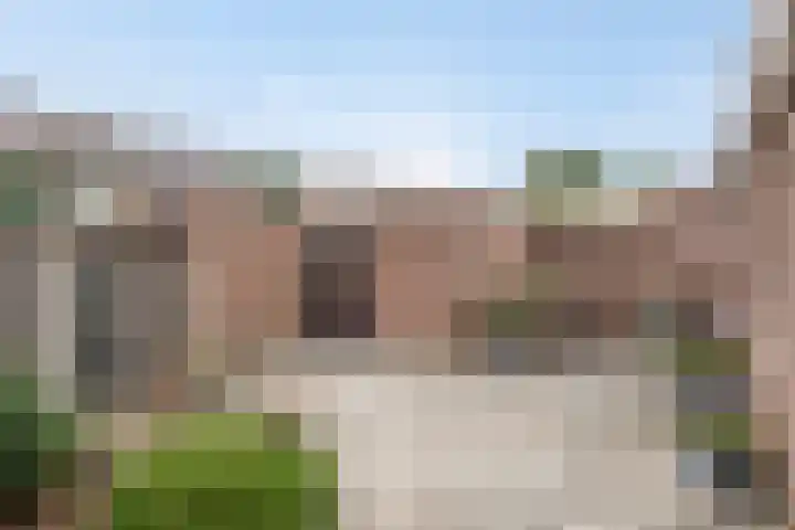 Ganzebloem 21 Hardenberg thumbnail 30
