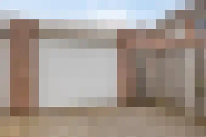 Ganzebloem 21 Hardenberg thumbnail 31