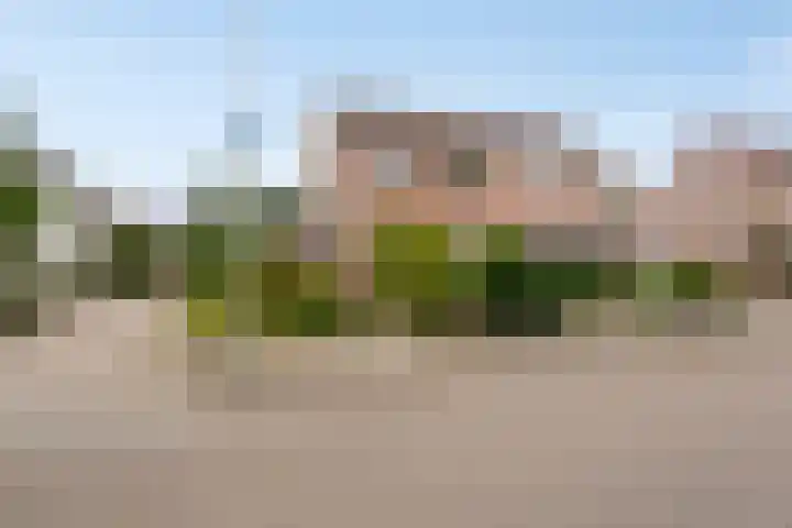 Ganzebloem 21 Hardenberg thumbnail 33