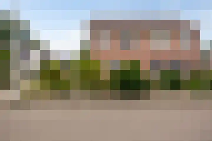 Ganzebloem 21 Hardenberg thumbnail 34