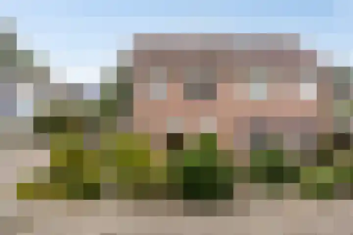 Ganzebloem 21 Hardenberg thumbnail 4