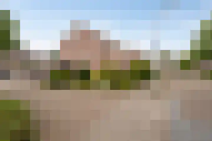 Ganzebloem 21 Hardenberg thumbnail 5