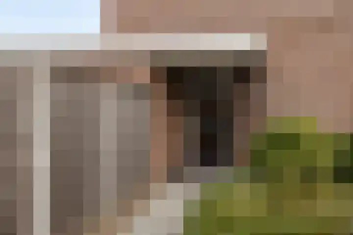 Ganzebloem 21 Hardenberg thumbnail 6
