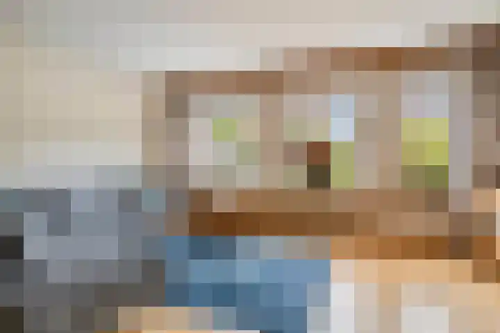Ganzebloem 21 Hardenberg thumbnail 7