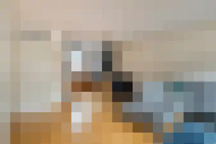 Ganzebloem 21 Hardenberg thumbnail 9