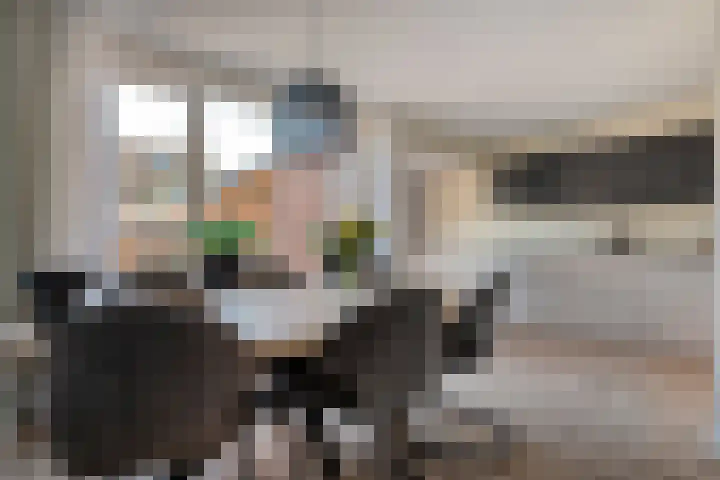 Ganzebloem 26 Hardenberg thumbnail 16