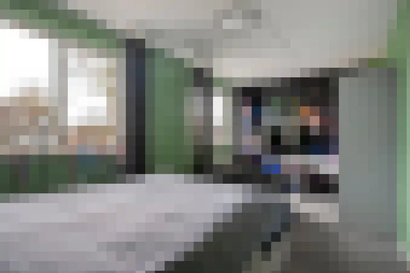 Ganzebloem 26 Hardenberg thumbnail 26