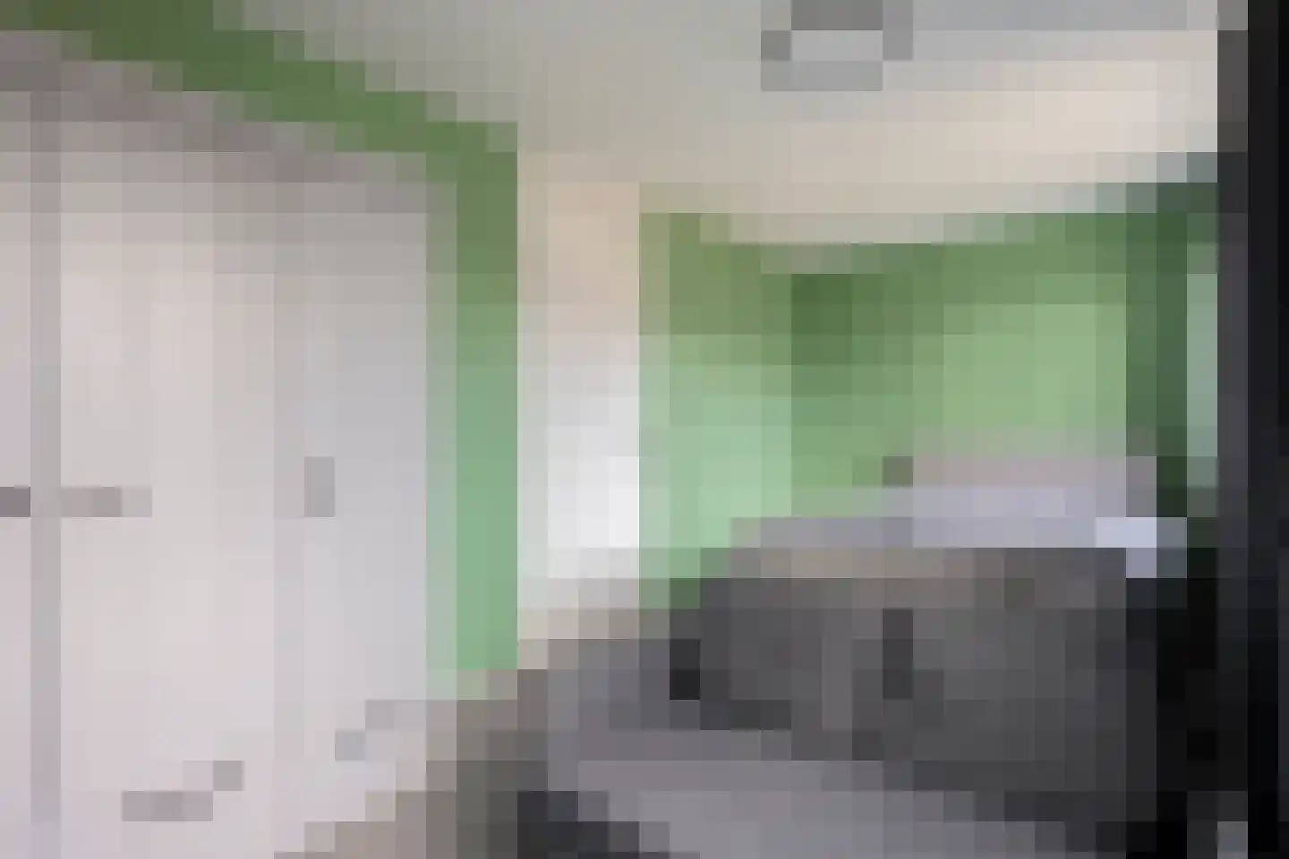 Ganzebloem 26 Hardenberg thumbnail 27