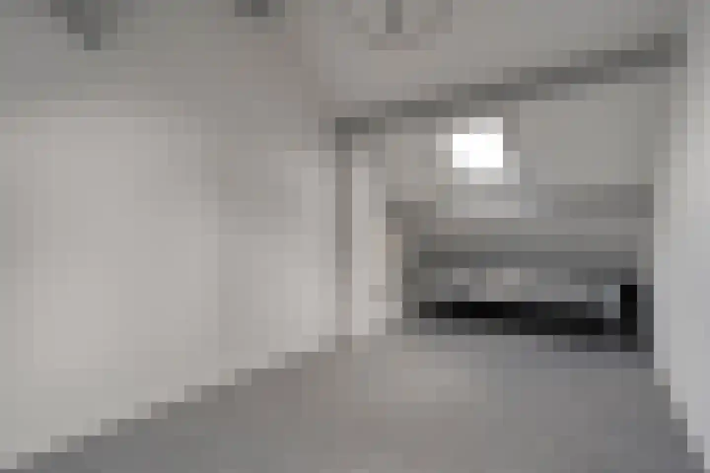Ganzebloem 26 Hardenberg thumbnail 32