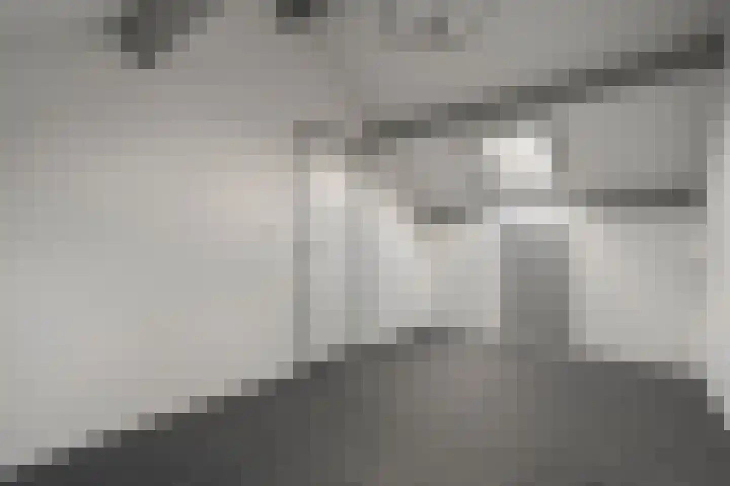 Ganzebloem 26 Hardenberg thumbnail 33