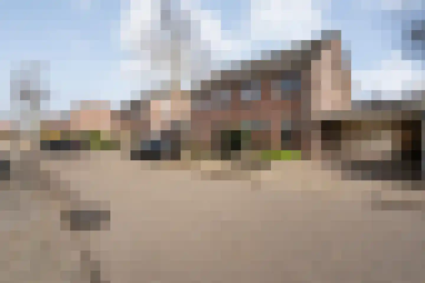 Ganzebloem 26 Hardenberg thumbnail 36