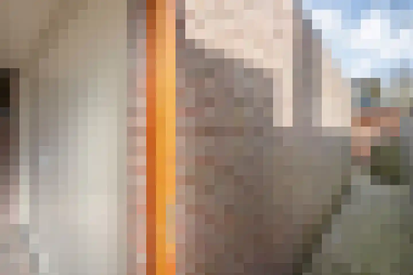Ganzebloem 26 Hardenberg thumbnail 37